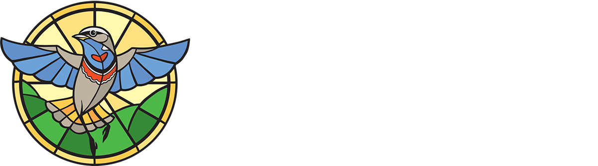 Modrák – Čarovný svet tanca